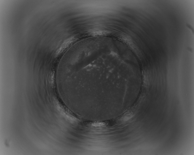 X0000101950357200807181455