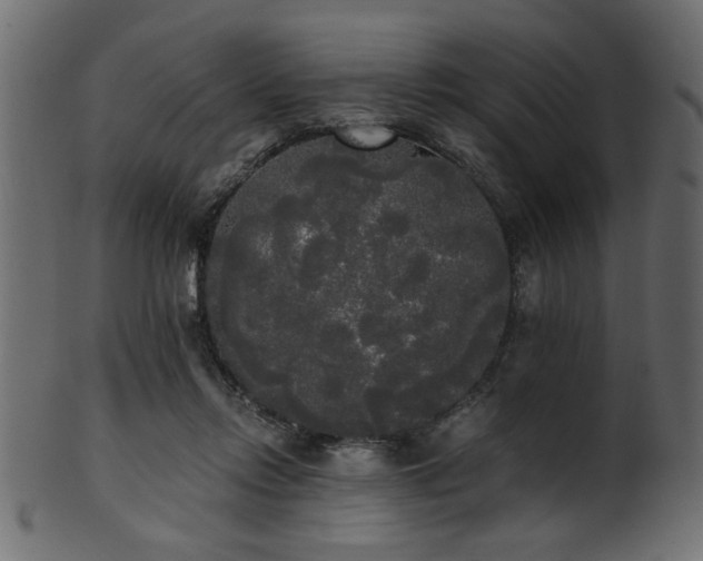 X0000101950358200807181455