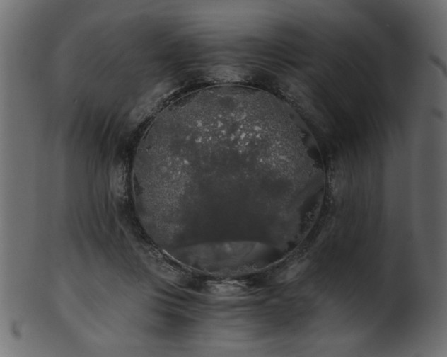 X0000101950359200807181455