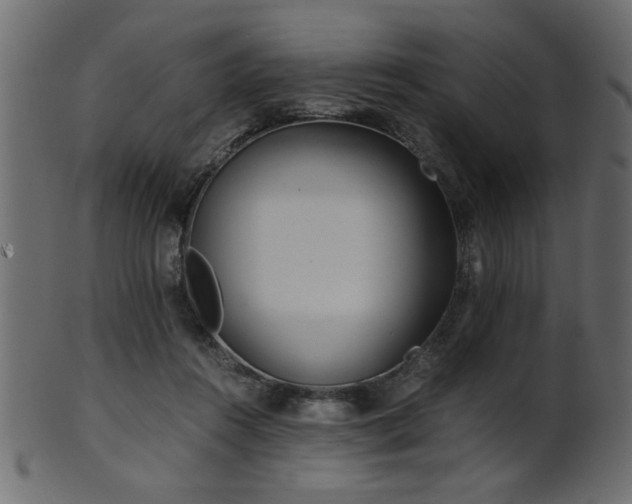 X0000101950360200807181455