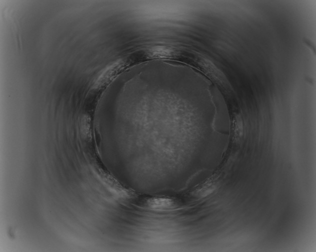 X0000101950361200807181455