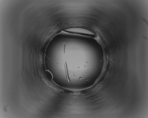 X0000101950362200807181455