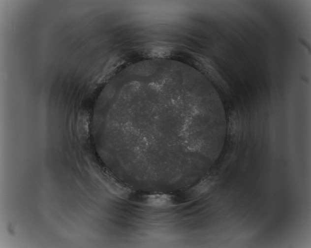 X0000101950363200807181455