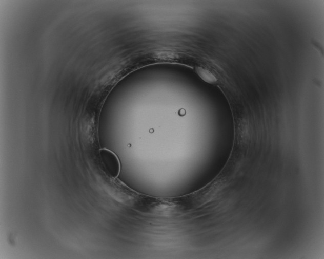 X0000101950364200807181455