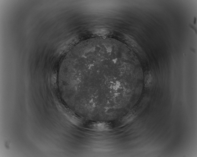 X0000101950365200807181455