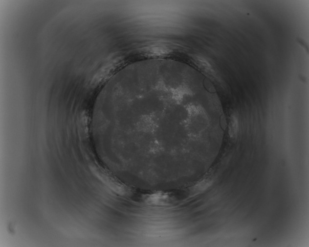 X0000101950366200807181455