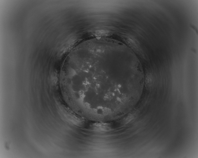 X0000101950367200807181455