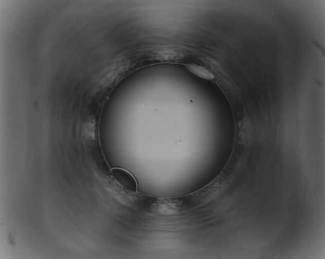 X0000101950368200807181455