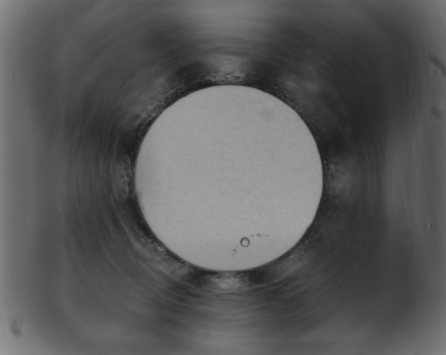 X0000101950370200807181455