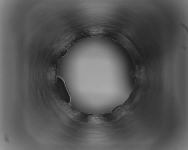 X0000101950372200807181455