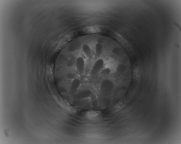 X0000101950373200807181456