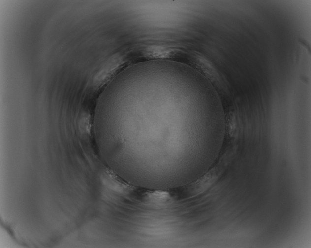 X0000101950374200807181456