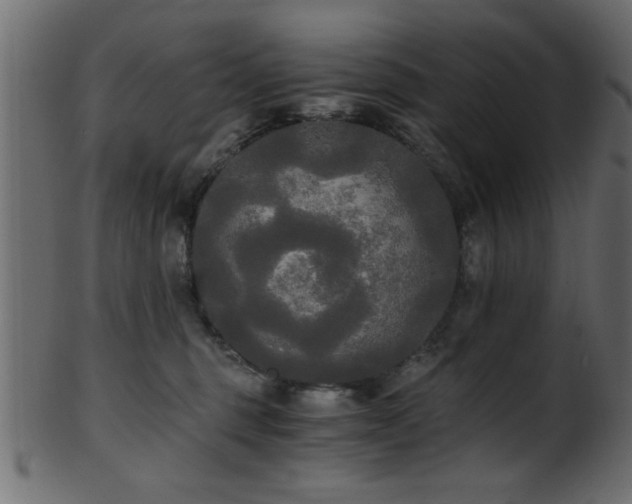 X0000101950375200807181456