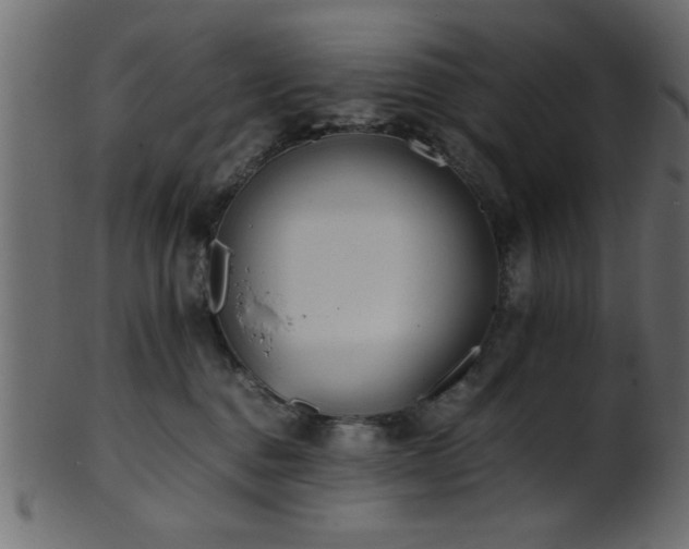 X0000101950376200807181456