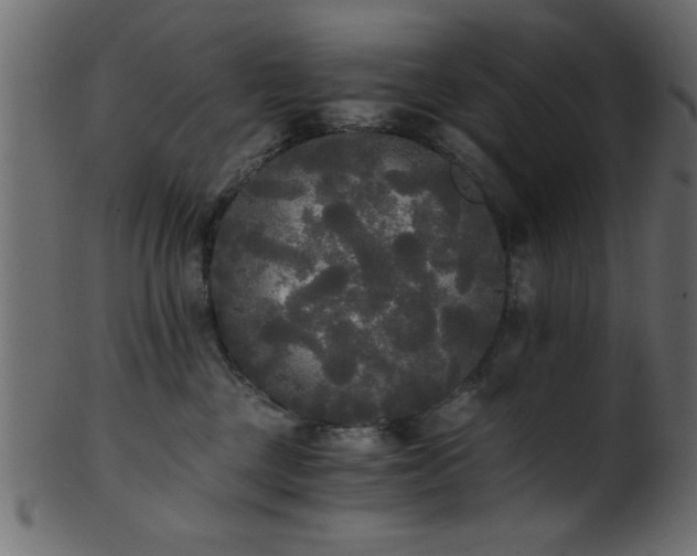 X0000101950377200807181456