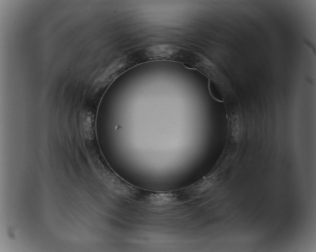 X0000101950378200807181456