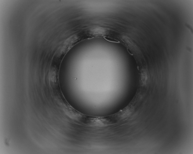 X0000101950379200807181456