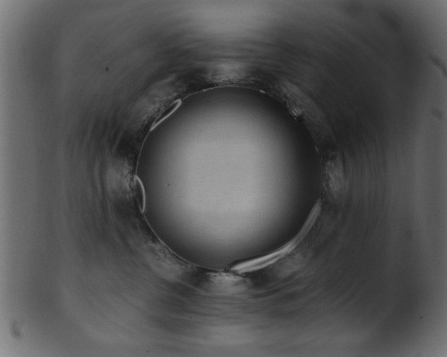 X0000101950380200807181456