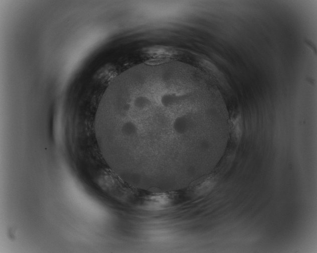 X0000101950381200807181456