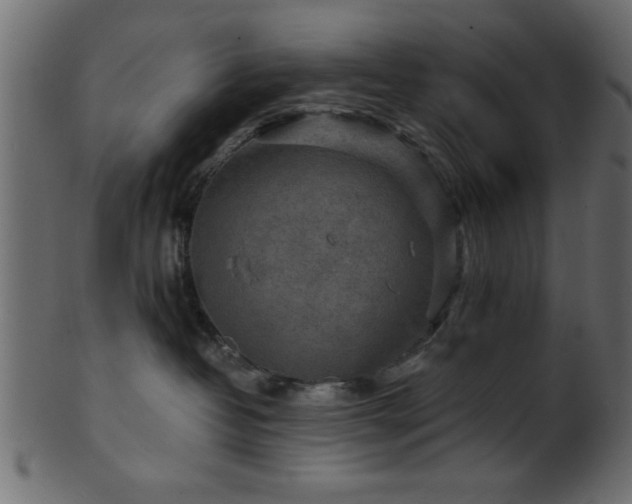 X0000101950382200807181456