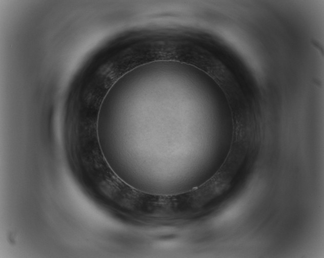 X0000101950383200807181456