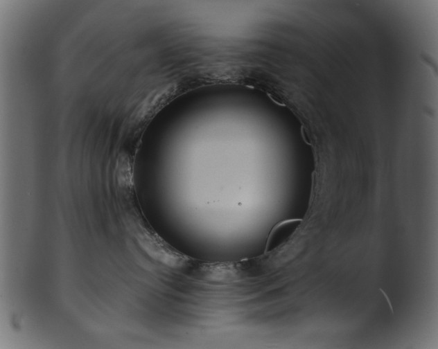 X0000101950384200807181456