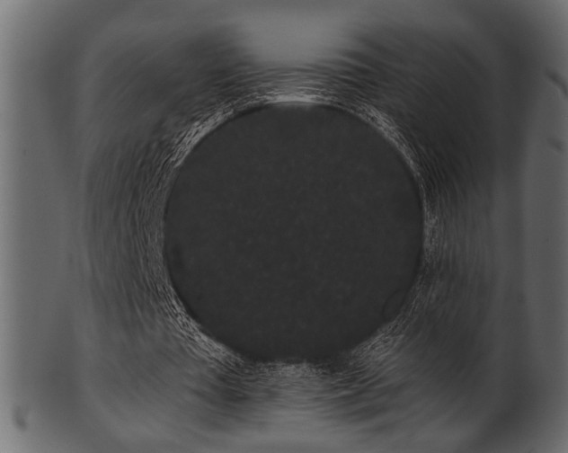 X0000101950385200807181455