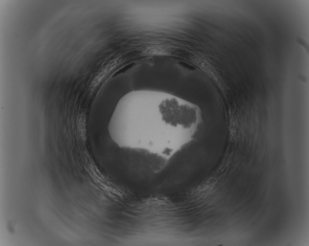 X0000101950386200807181455