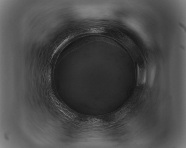 X0000101950387200807181455