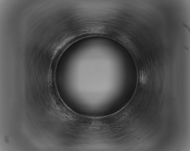 X0000101950388200807181455