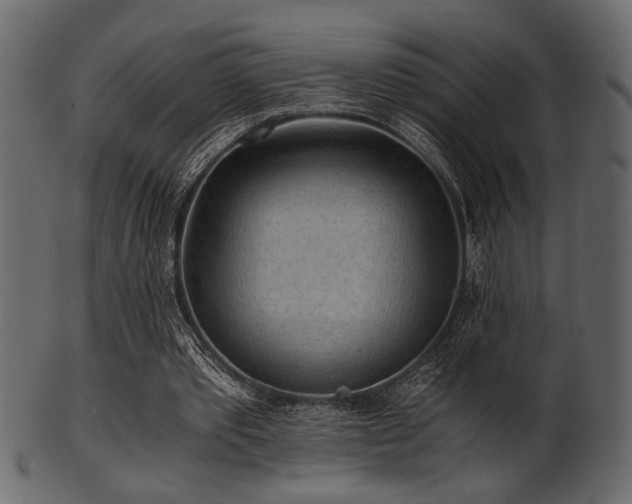 X0000101950389200807181455