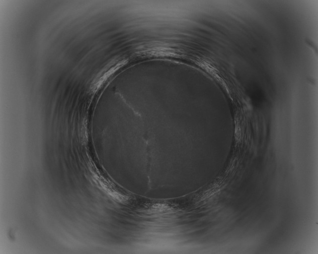 X0000101950390200807181455