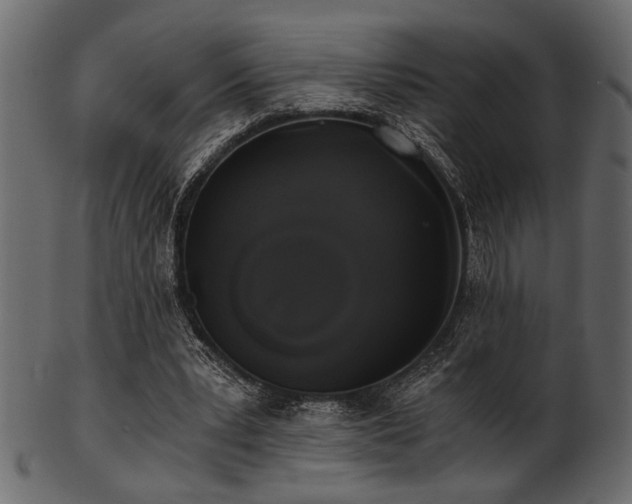 X0000101950391200807181455