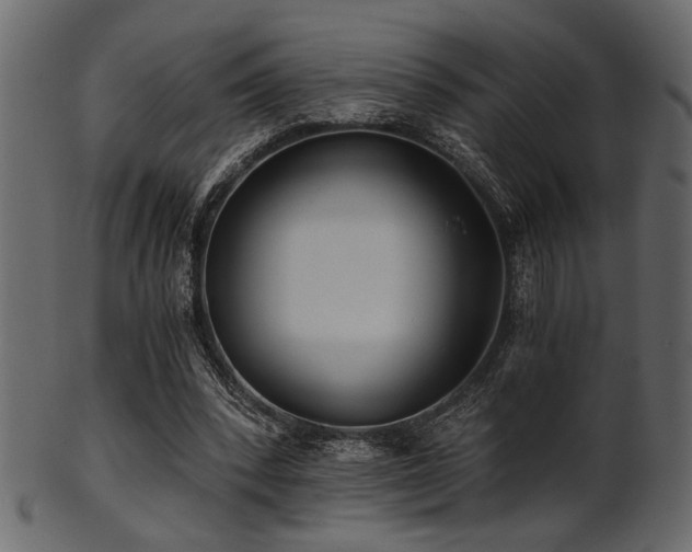 X0000101950392200807181455