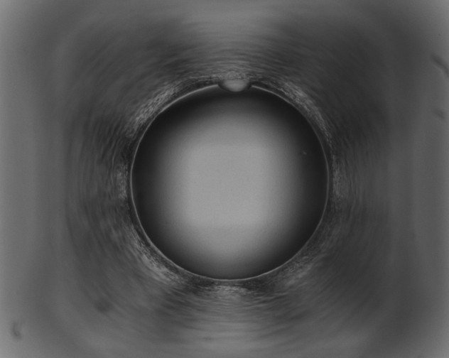 X0000101950393200807181455