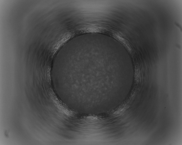 X0000101950394200807181455