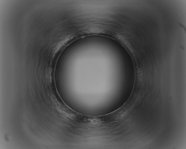 X0000101950395200807181455