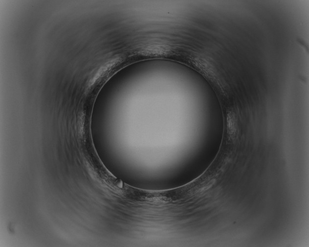 X0000101950396200807181455