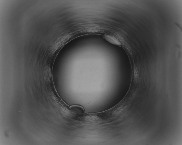 X0000101950397200807181455