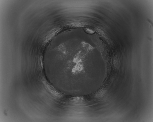 X0000101950398200807181455