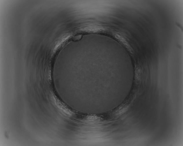 X0000101950399200807181455