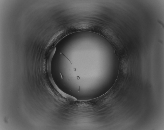 X0000101950400200807181455