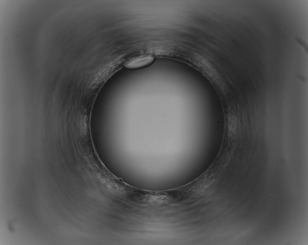 X0000101950401200807181455