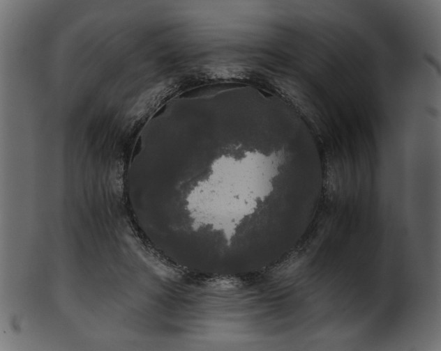 X0000101950402200807181455