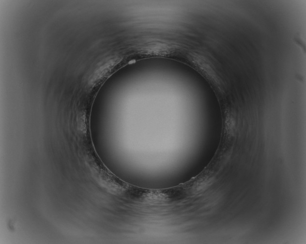 X0000101950403200807181455