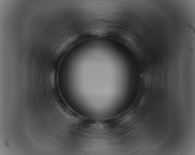 X0000101950404200807181455