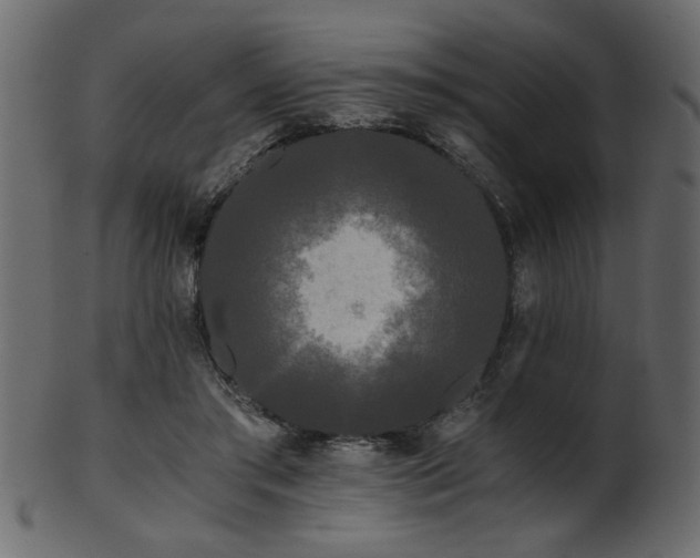 X0000101950405200807181455