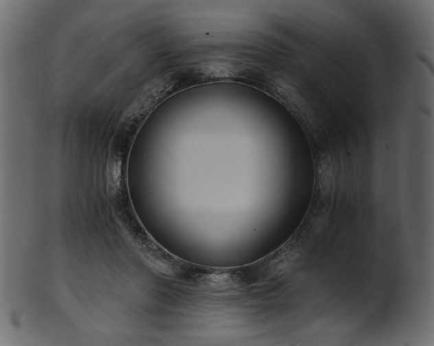 X0000101950406200807181455