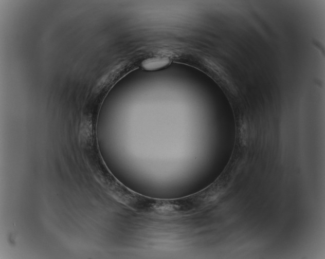 X0000101950407200807181455