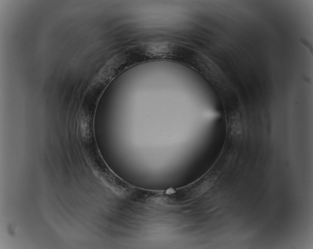 X0000101950408200807181455